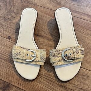 Connie Yellow Snake-Print Slide Sandals with Silver Buckle